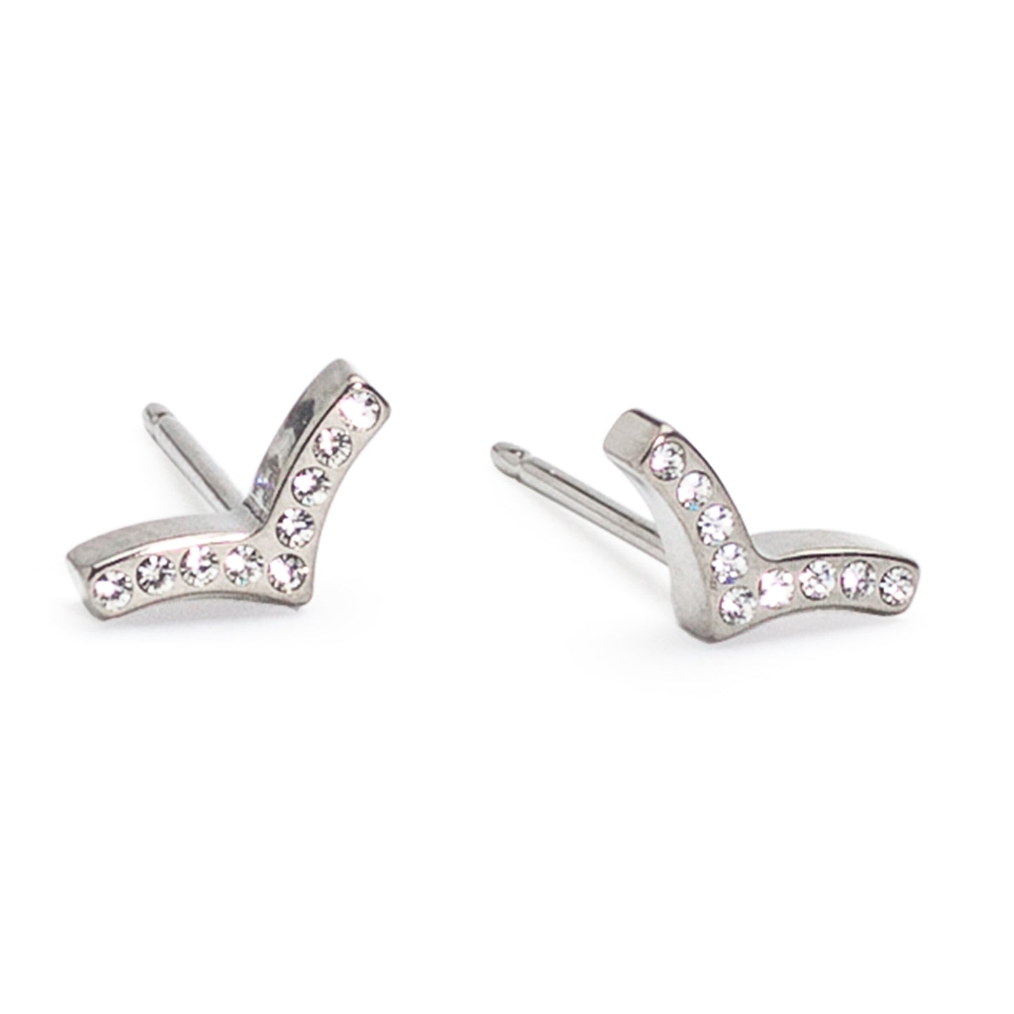 Titanium Brillance Earring