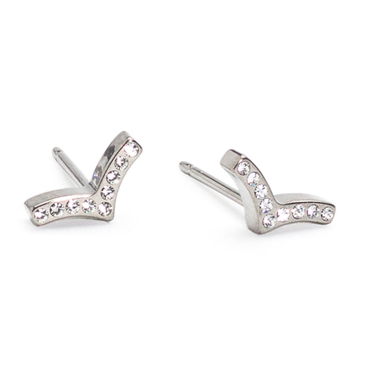 Titanium Brillance Earring