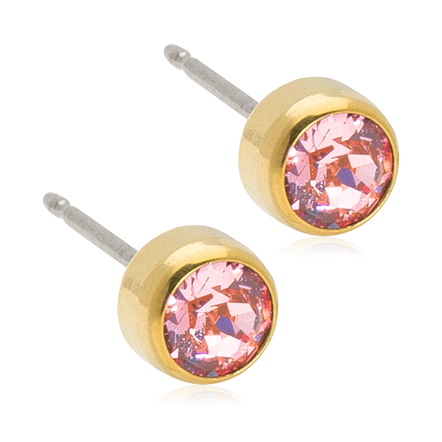 Titanium Bezel Earring
