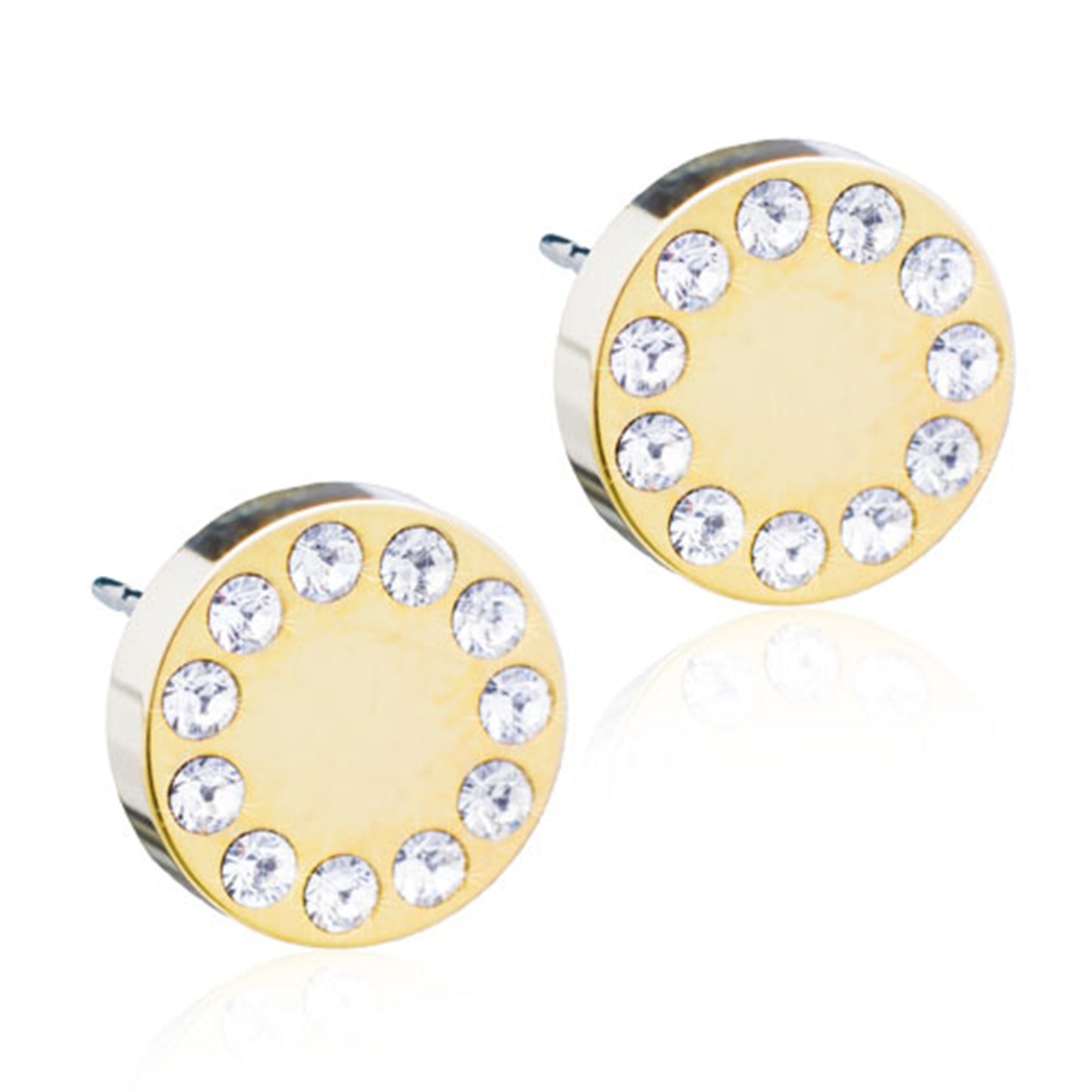 Titanium Earring