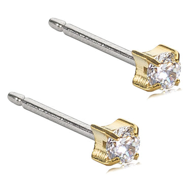 Titanium Tiffany Earring