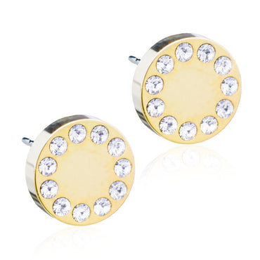Titanium Brilliance Earring