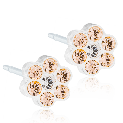 MP Daisy