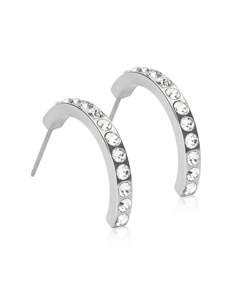 Pendant Brilliance Curved Earring 20 mm -NT