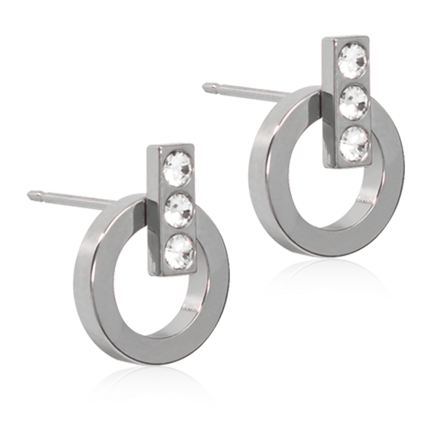 Titanium Chic Earring