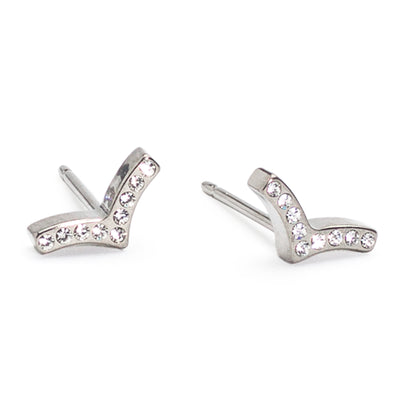 Titanium Brillance Earring