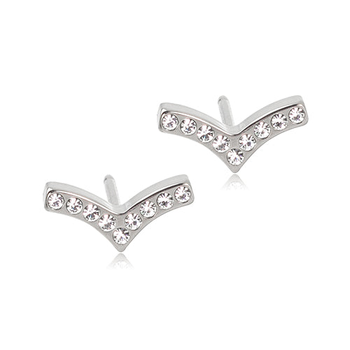 Titanium Brillance Earring