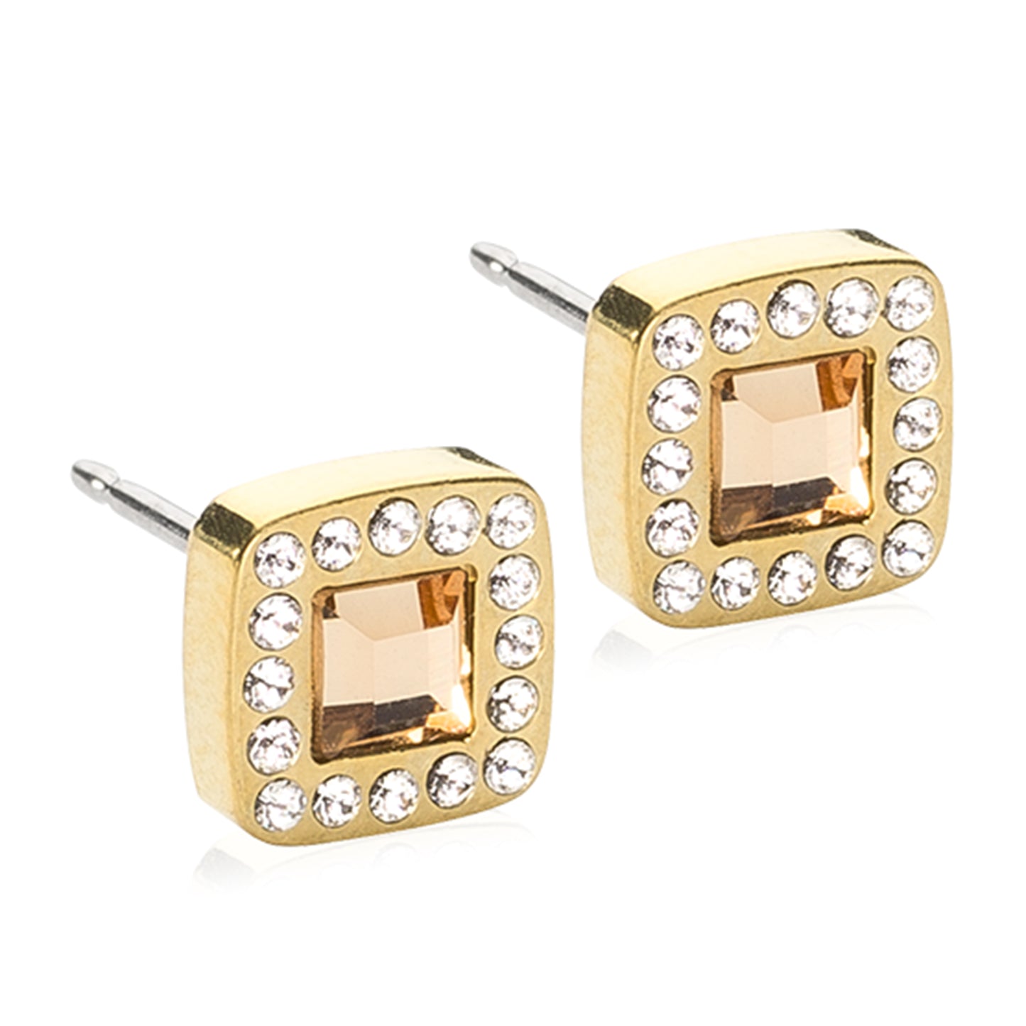 Titanium Earring