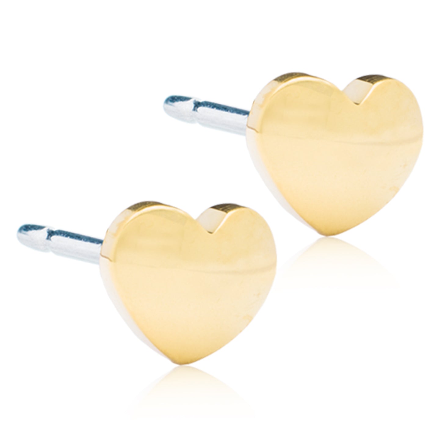 Titanium Heart Earring