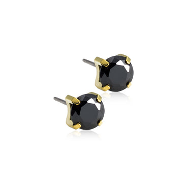 Titanium Tiffany Earring