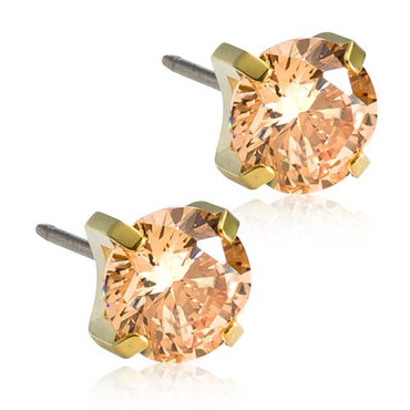 Titanium Tiffany Earring