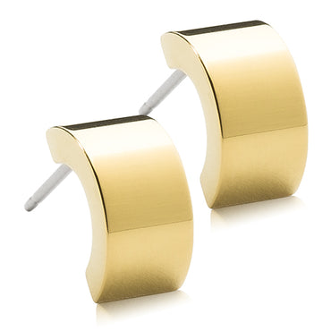 Plain Curved Earring