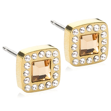 Brilliance Cushion Earring