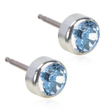 Titanium Bezel Earring
