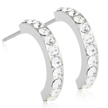 Titanium Pendant Earring