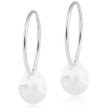 Drop Crystal Earrings