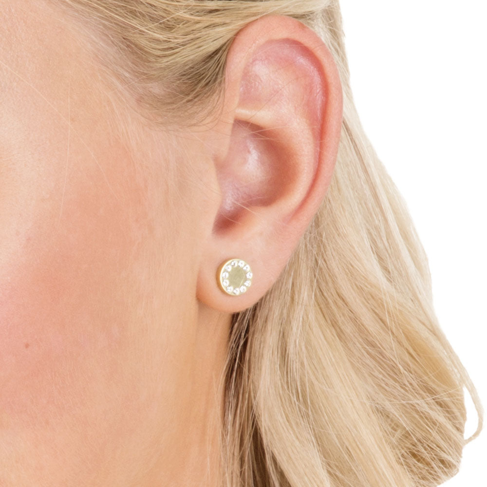 Titanium Brilliance Earring