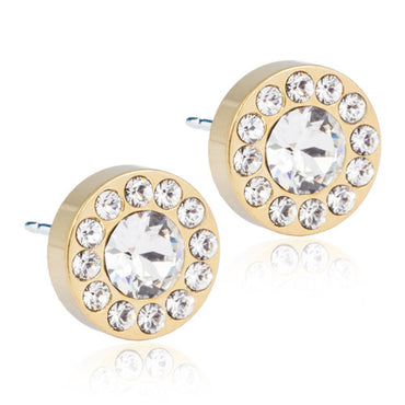 Titanium Brilliance Earring