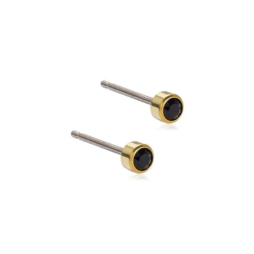 Titanium Bezel Earring