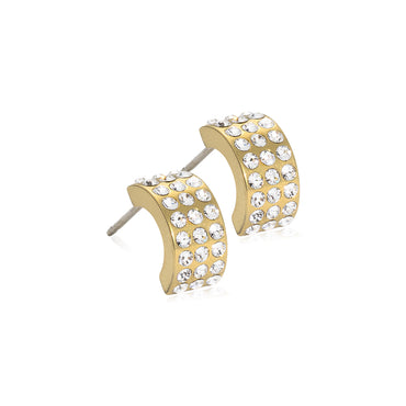 Brilliance Curved Earring