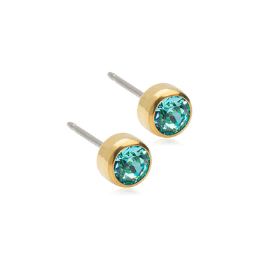 Titanium Bezel Earring - 5MM