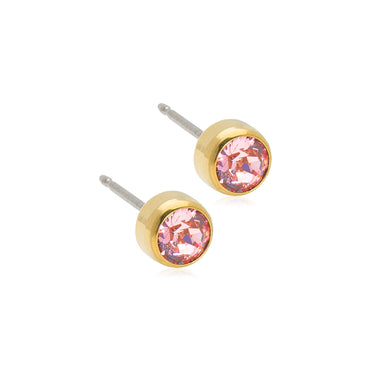 Titanium Bezel Earring - 5MM